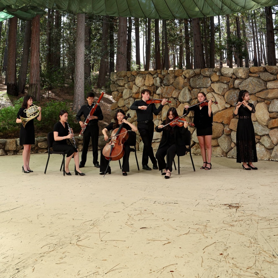 A chamber orchestra performing.